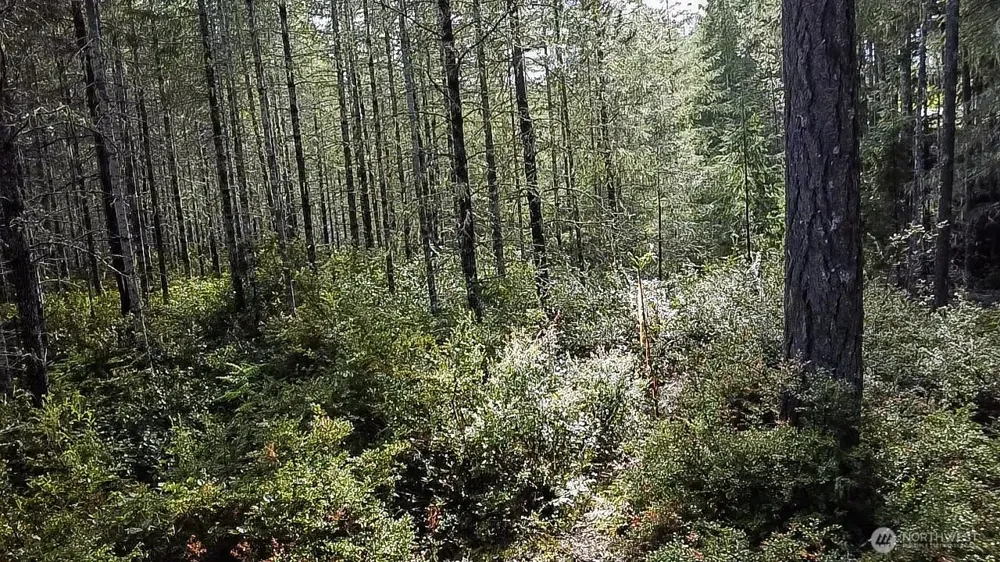 230 E Blackberry Lane Union, WA 98592