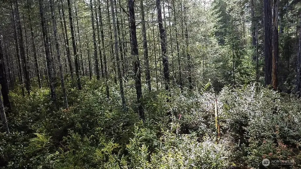 230 E Blackberry Lane Union, WA 98592