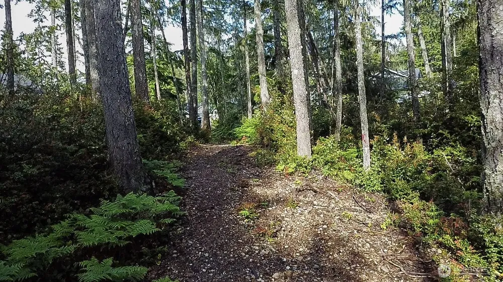 230 E Blackberry Lane Union, WA 98592