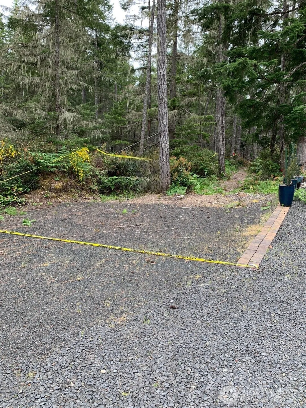 230 E Blackberry Lane Union, WA 98592