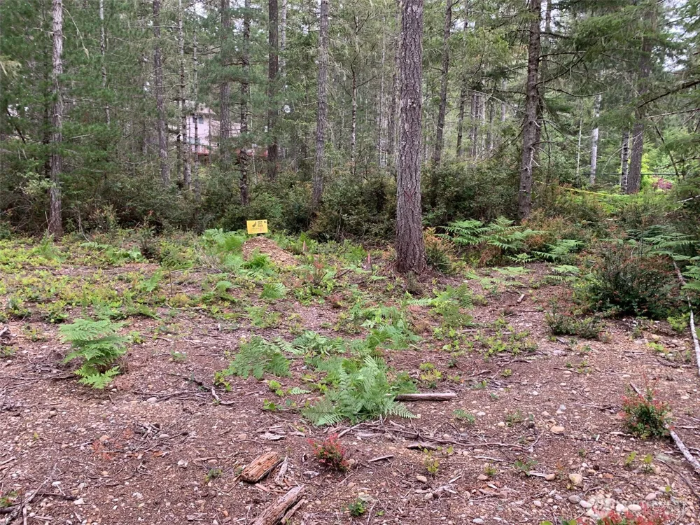 230 E Blackberry Lane Union, WA 98592
