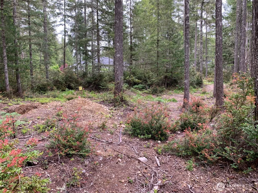 230 E Blackberry Lane Union, WA 98592