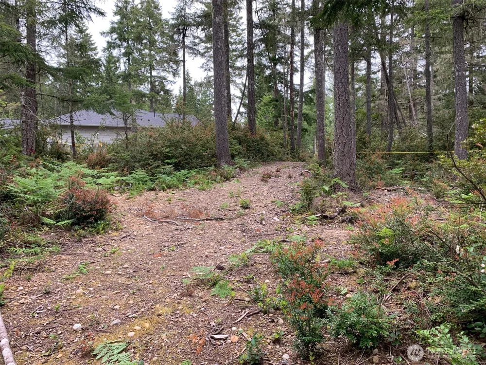 230 E Blackberry Lane Union, WA 98592