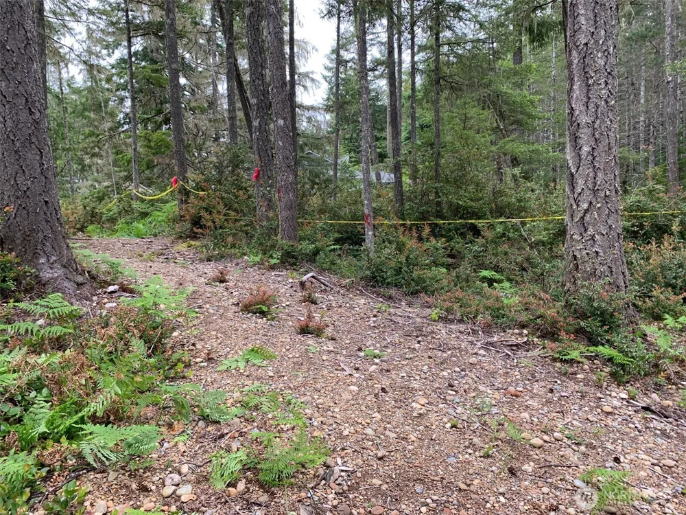 230 E Blackberry Lane Union, WA 98592