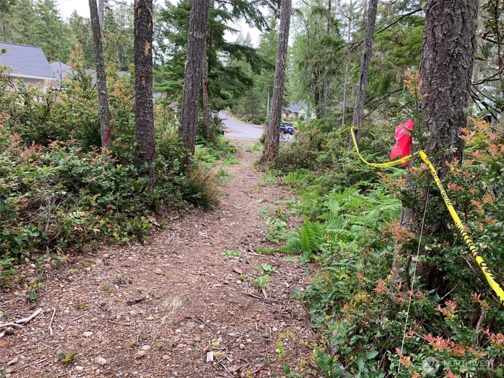 230 E Blackberry Lane Union, WA 98592
