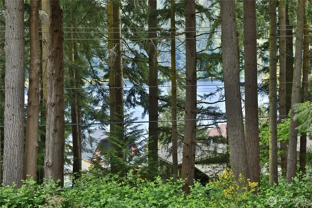 0 April Drive Langley, WA 98260