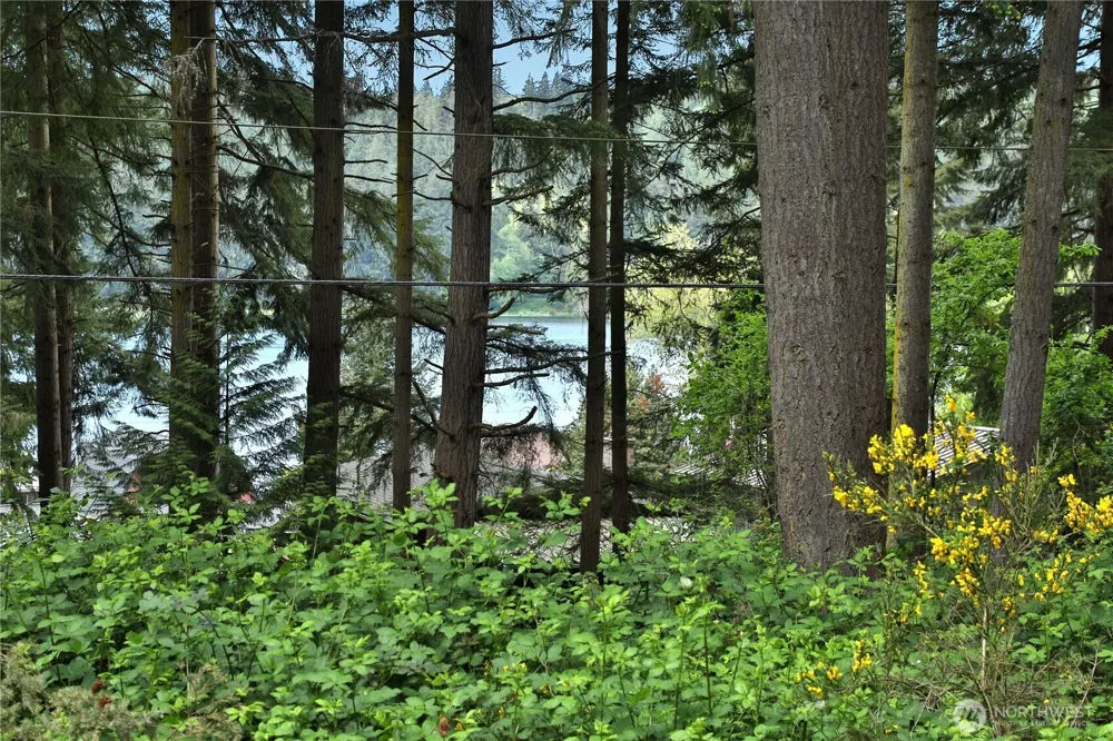 0 April Drive Langley, WA 98260