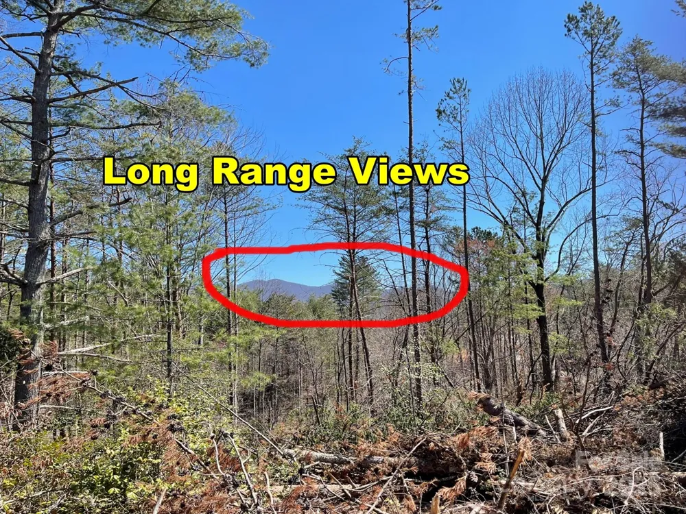 83 Union Chapel Road Weaverville, NC 28787