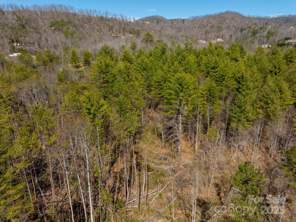 83 Union Chapel Road Weaverville, NC 28787