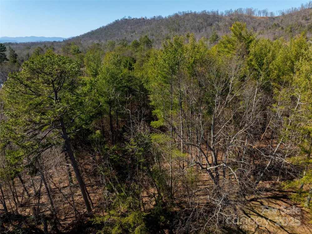 83 Union Chapel Road Weaverville, NC 28787