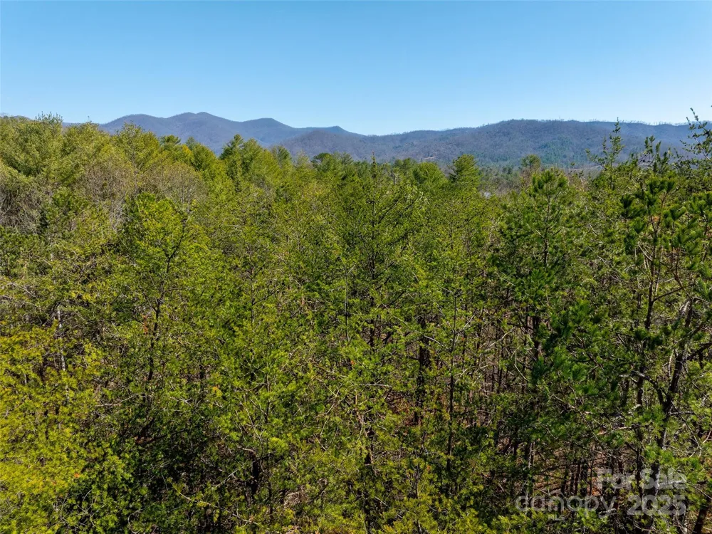 83 Union Chapel Road Weaverville, NC 28787