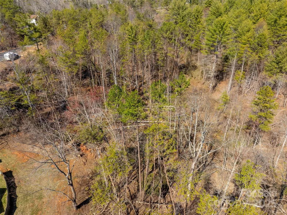 83 Union Chapel Road Weaverville, NC 28787