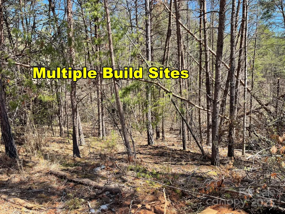 83 Union Chapel Road Weaverville, NC 28787