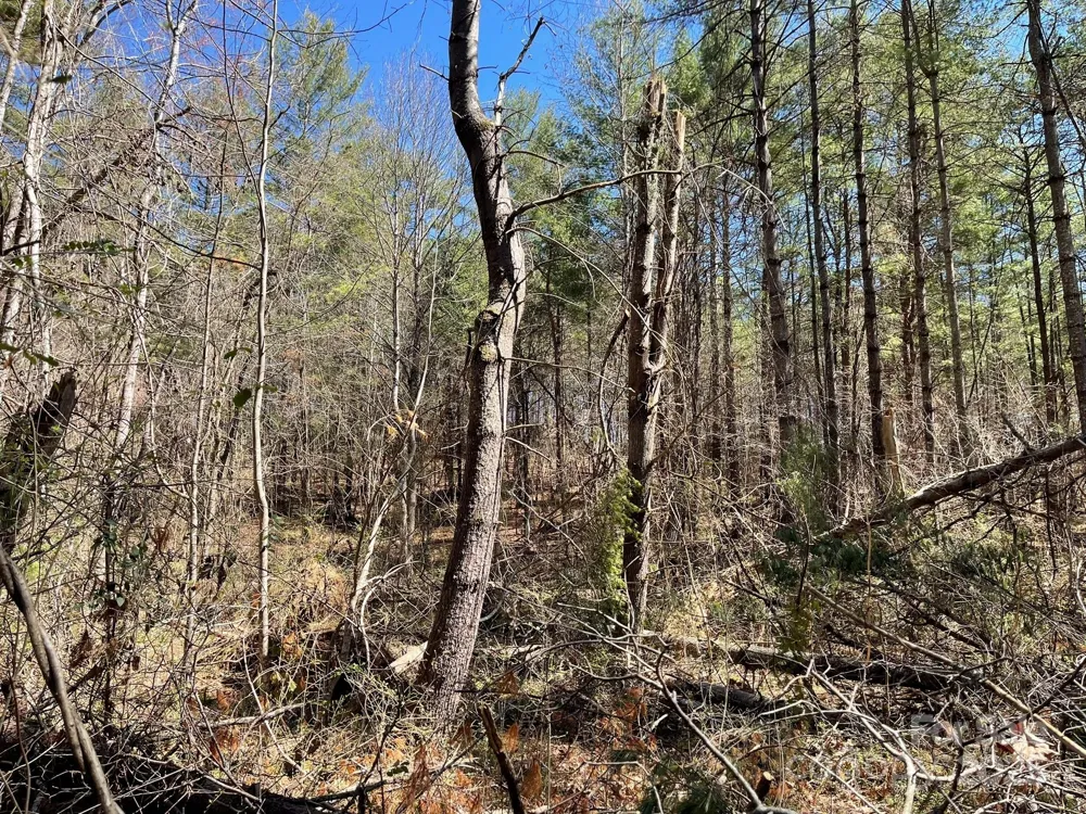 83 Union Chapel Road Weaverville, NC 28787