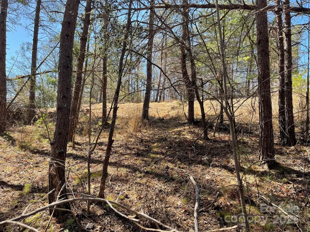 83 Union Chapel Road Weaverville, NC 28787