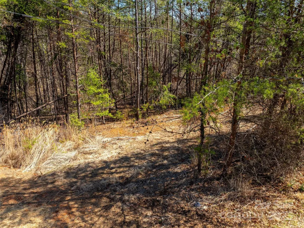 83 Union Chapel Road Weaverville, NC 28787