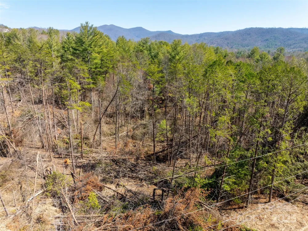 83 Union Chapel Road Weaverville, NC 28787