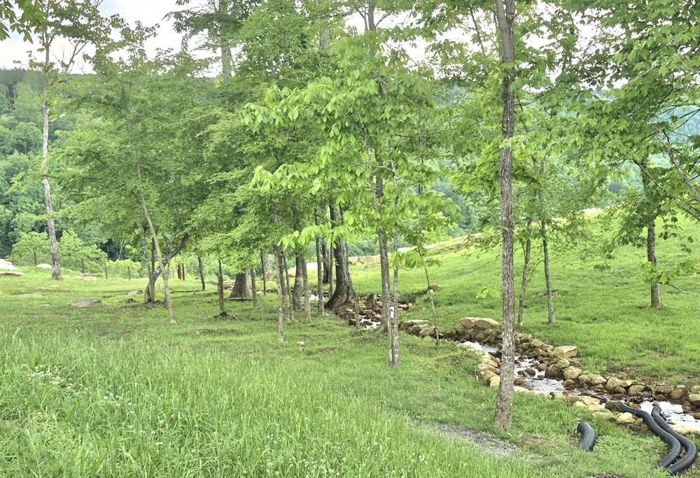 6070 Raulston Falls Road Jasper, TN 37347