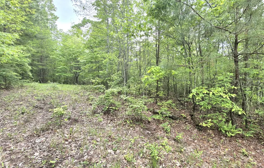 6070 Raulston Falls Road Jasper, TN 37347