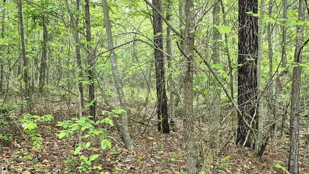 6070 Raulston Falls Road Jasper, TN 37347