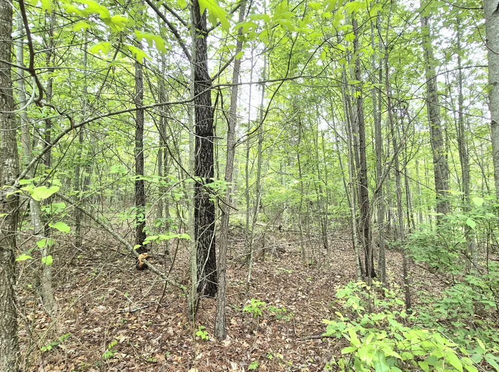 6070 Raulston Falls Road Jasper, TN 37347