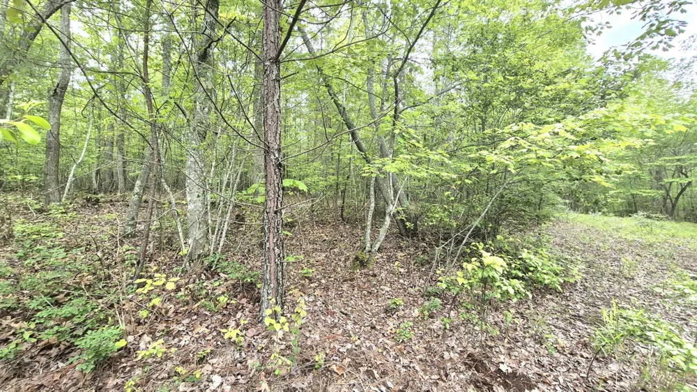 6070 Raulston Falls Road Jasper, TN 37347