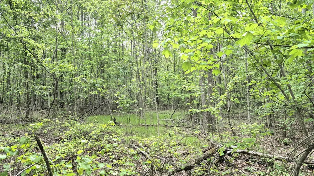 6070 Raulston Falls Road Jasper, TN 37347
