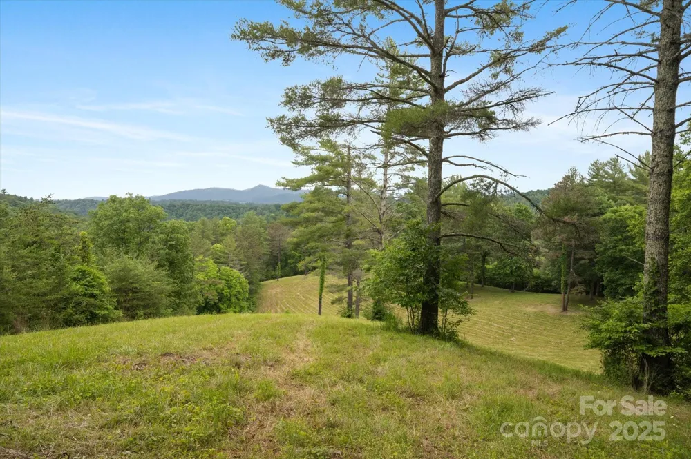 942 Paint Fork Road Mars Hill, NC 28754