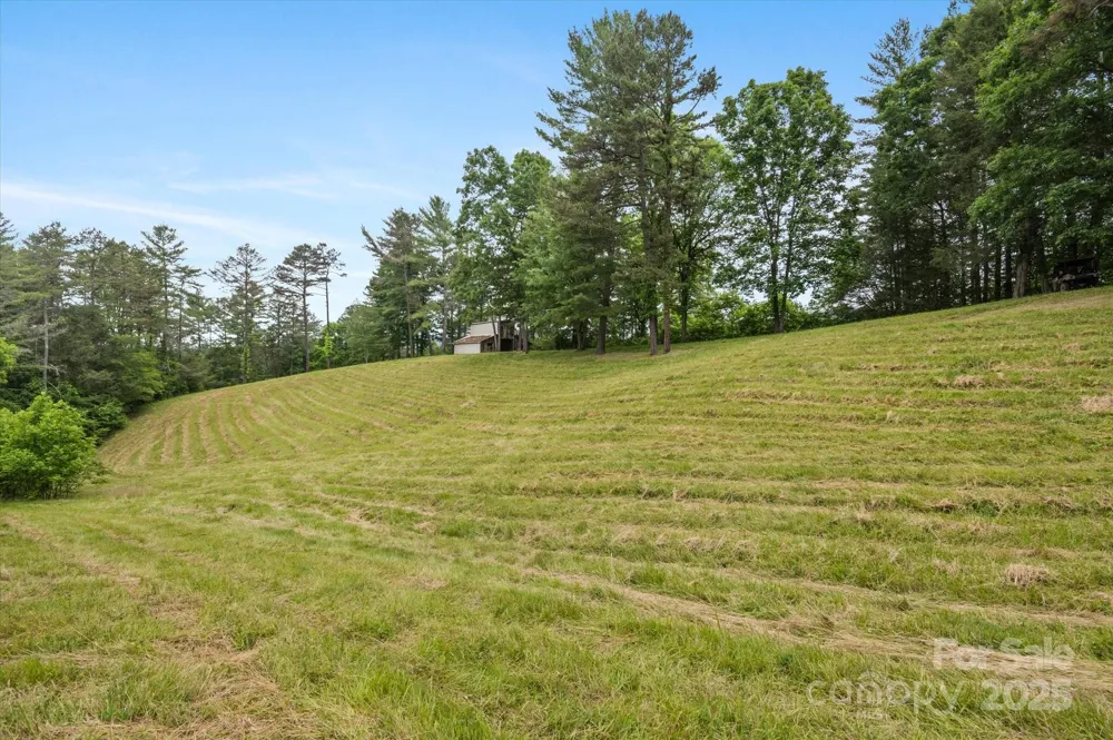 942 Paint Fork Road Mars Hill, NC 28754