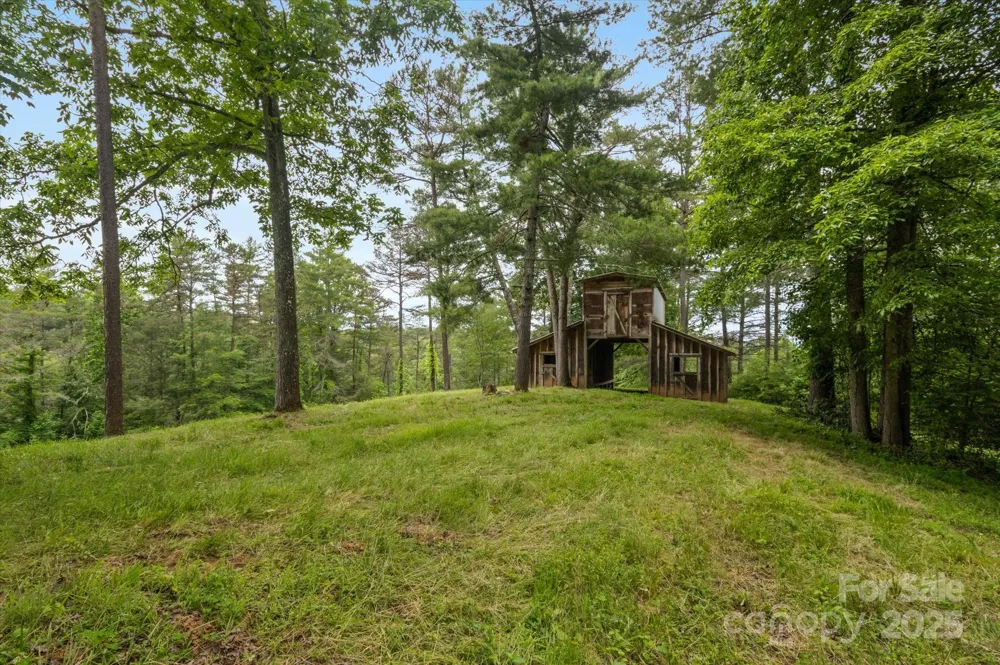 942 Paint Fork Road Mars Hill, NC 28754