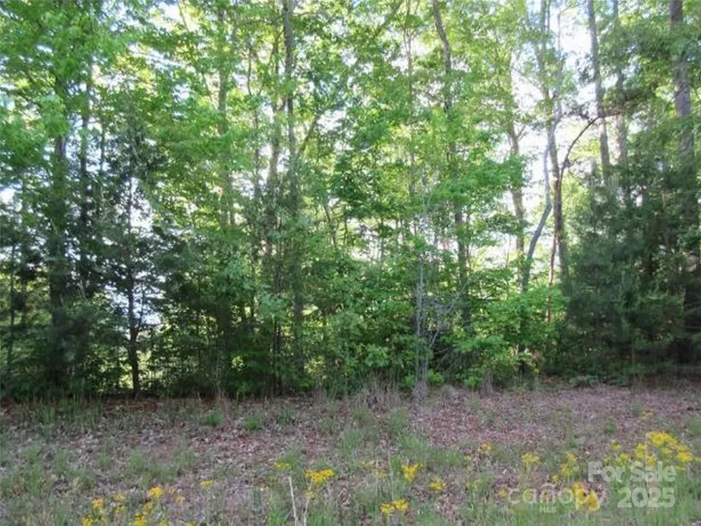 0 S Cross Creek Trail #12 Mill Spring, NC 28756