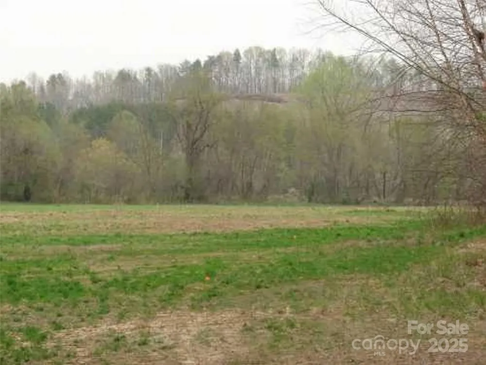 0 S Cross Creek Trail #12 Mill Spring, NC 28756