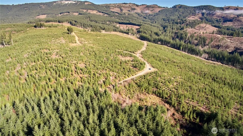 4 NE Jones Creek Road Camas, WA 98607