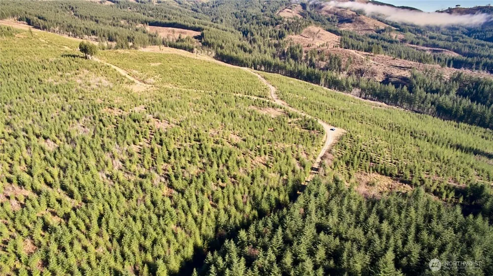 4 NE Jones Creek Road Camas, WA 98607