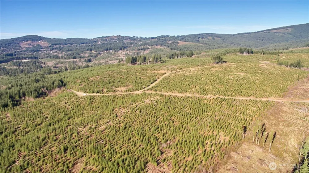 4 NE Jones Creek Road Camas, WA 98607