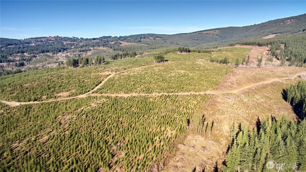 4 NE Jones Creek Road Camas, WA 98607