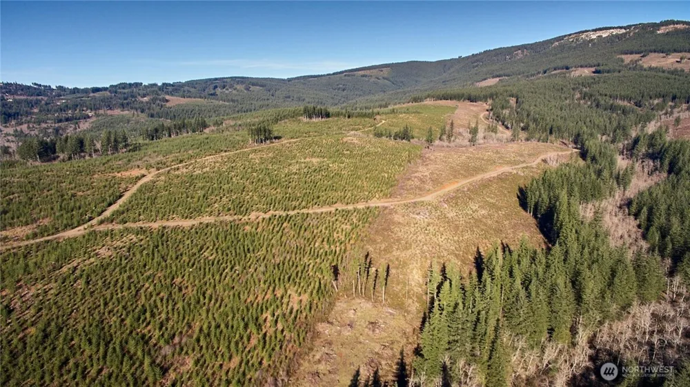 4 NE Jones Creek Road Camas, WA 98607