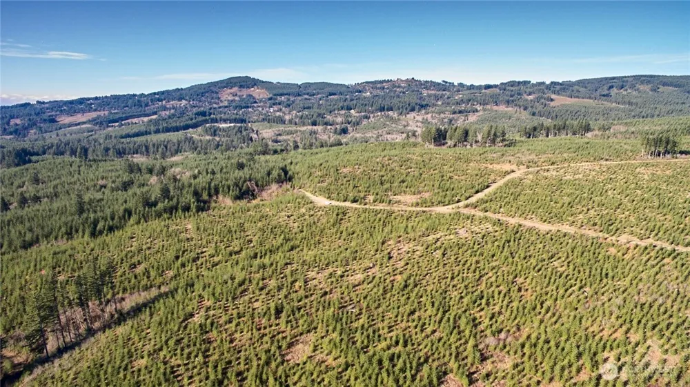 4 NE Jones Creek Road Camas, WA 98607