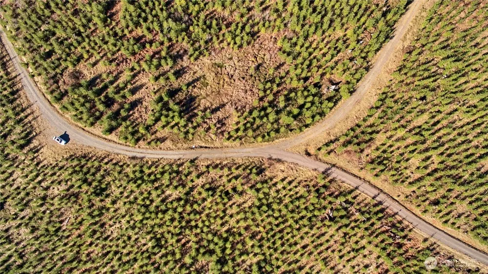 4 NE Jones Creek Road Camas, WA 98607