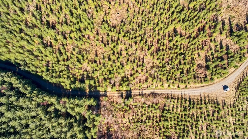 4 NE Jones Creek Road Camas, WA 98607