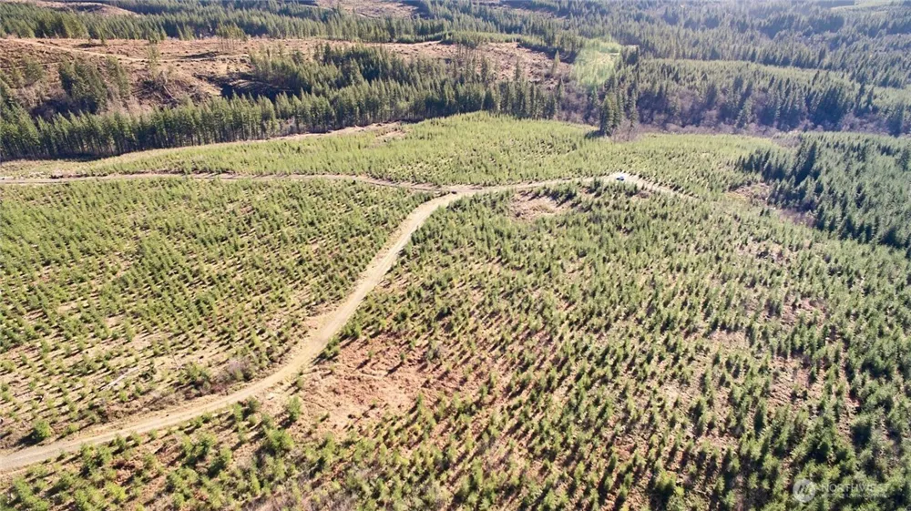 4 NE Jones Creek Road Camas, WA 98607