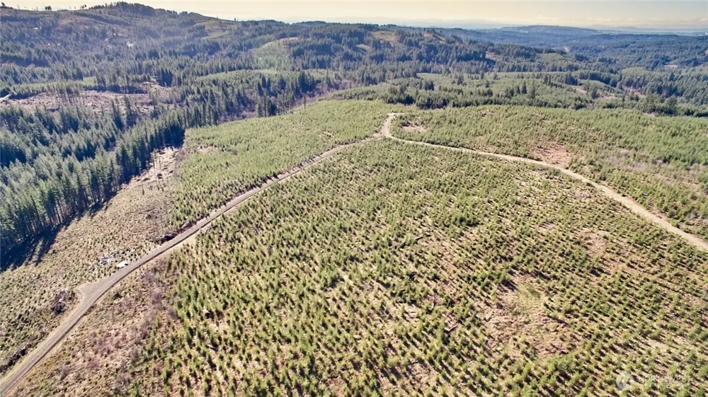 4 NE Jones Creek Road Camas, WA 98607