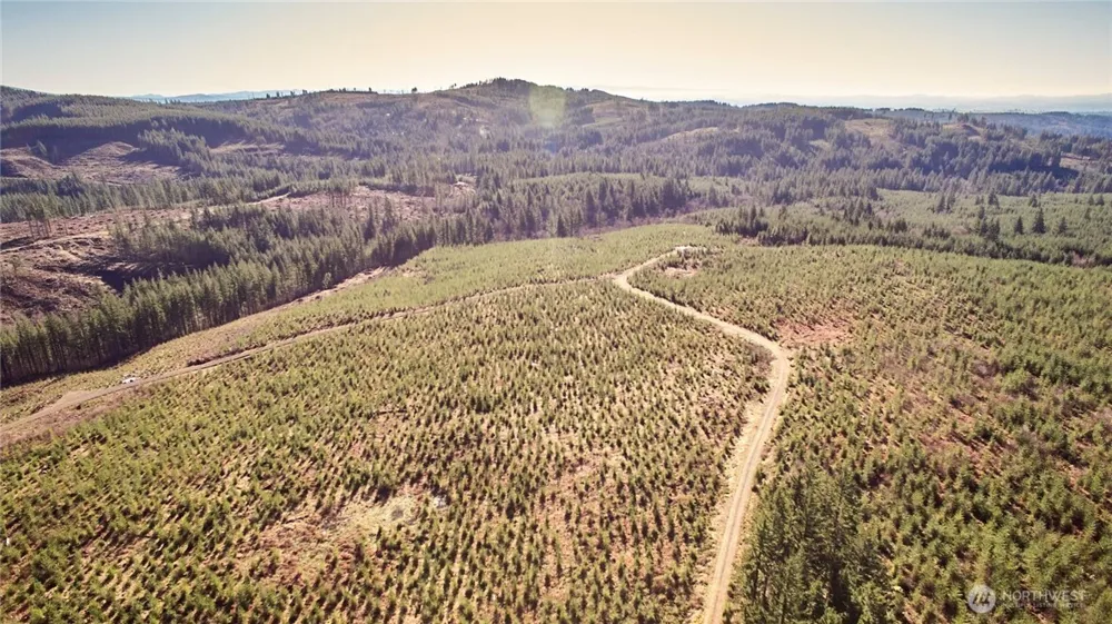 4 NE Jones Creek Road Camas, WA 98607
