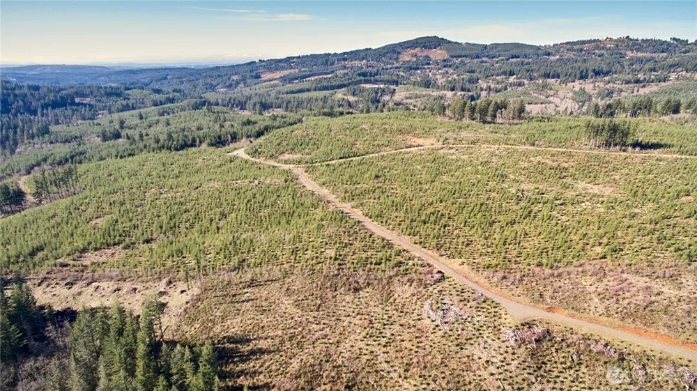 4 NE Jones Creek Road Camas, WA 98607