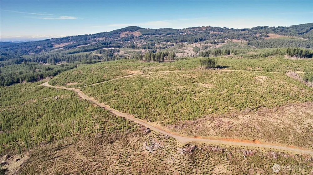 4 NE Jones Creek Road Camas, WA 98607