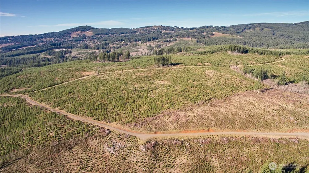 4 NE Jones Creek Road Camas, WA 98607