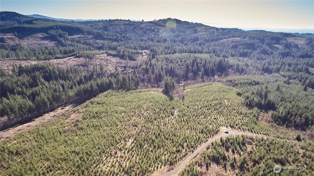 4 NE Jones Creek Road Camas, WA 98607