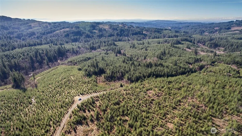 4 NE Jones Creek Road Camas, WA 98607