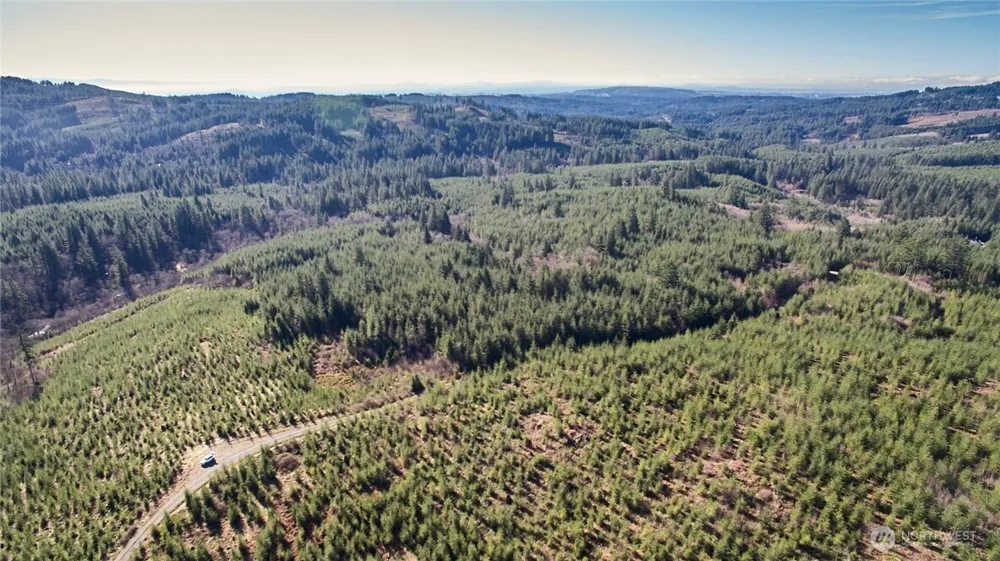 4 NE Jones Creek Road Camas, WA 98607