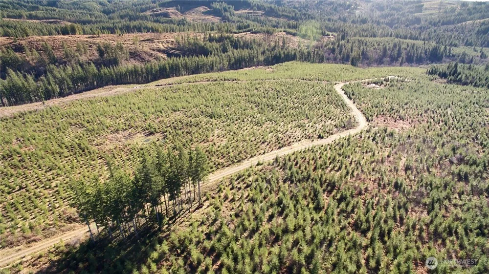 4 NE Jones Creek Road Camas, WA 98607